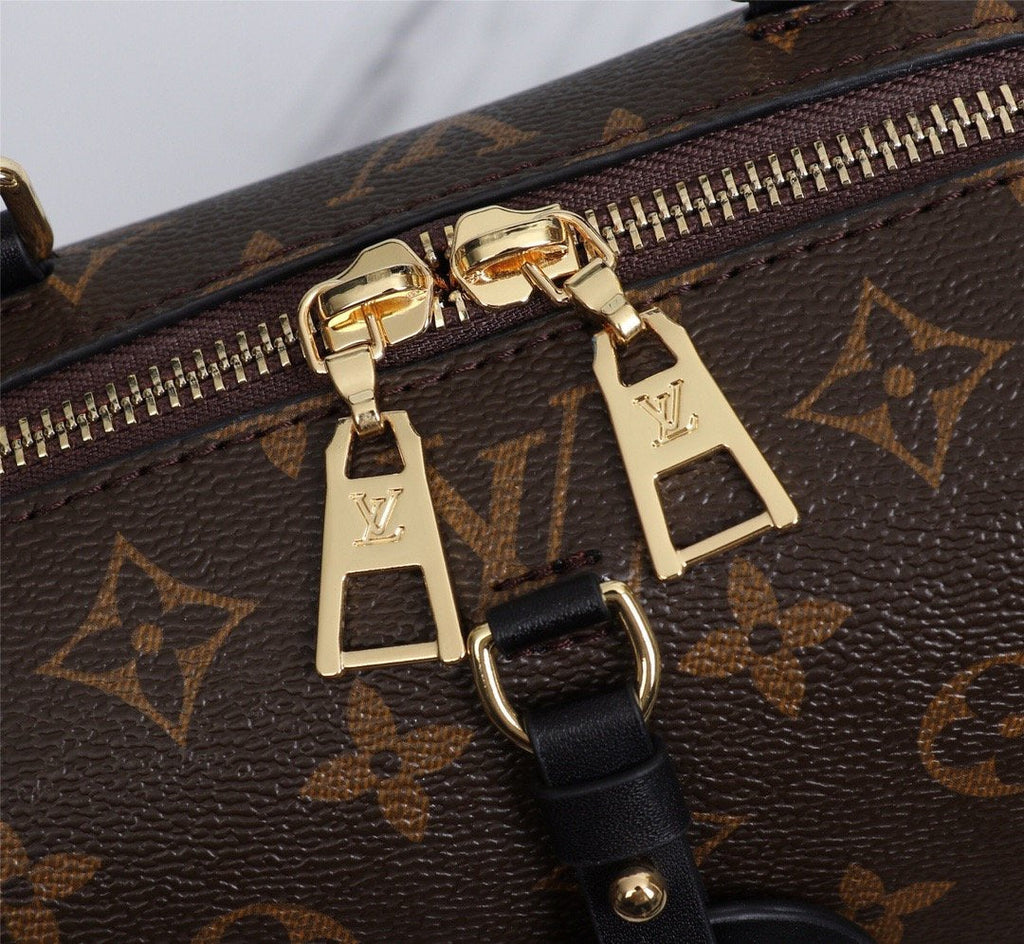 Designer Handbags Louis Vuitton 027