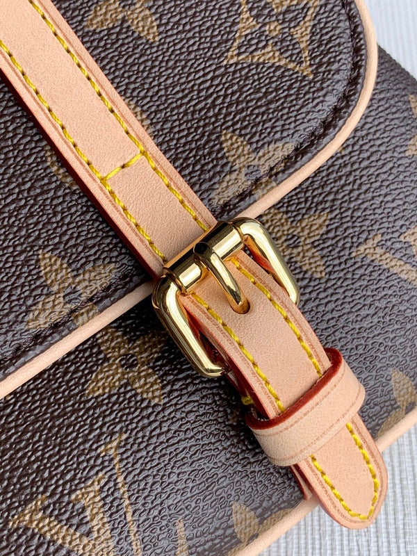 Louis Vuitton Luxury Bags 2618