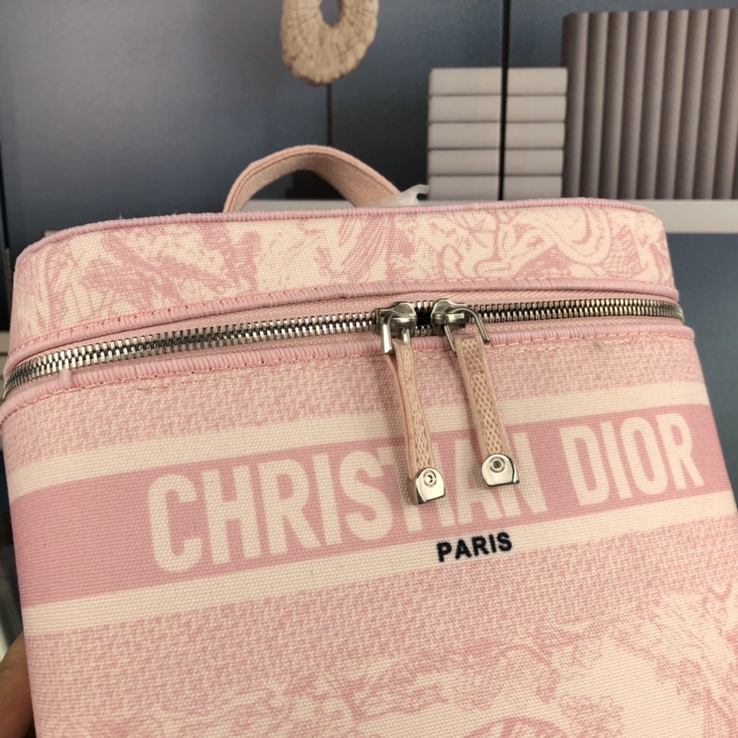 Designer Handbags dior 297