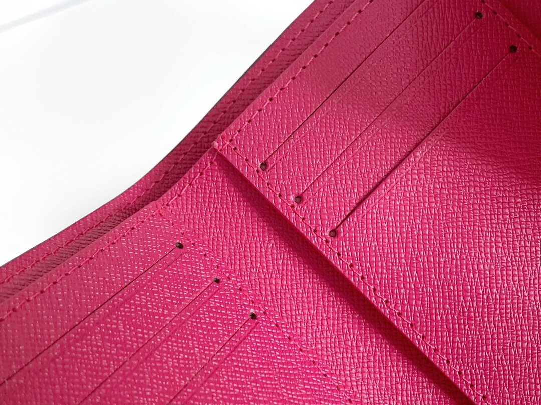 Designer Wallet louis vuitton 117