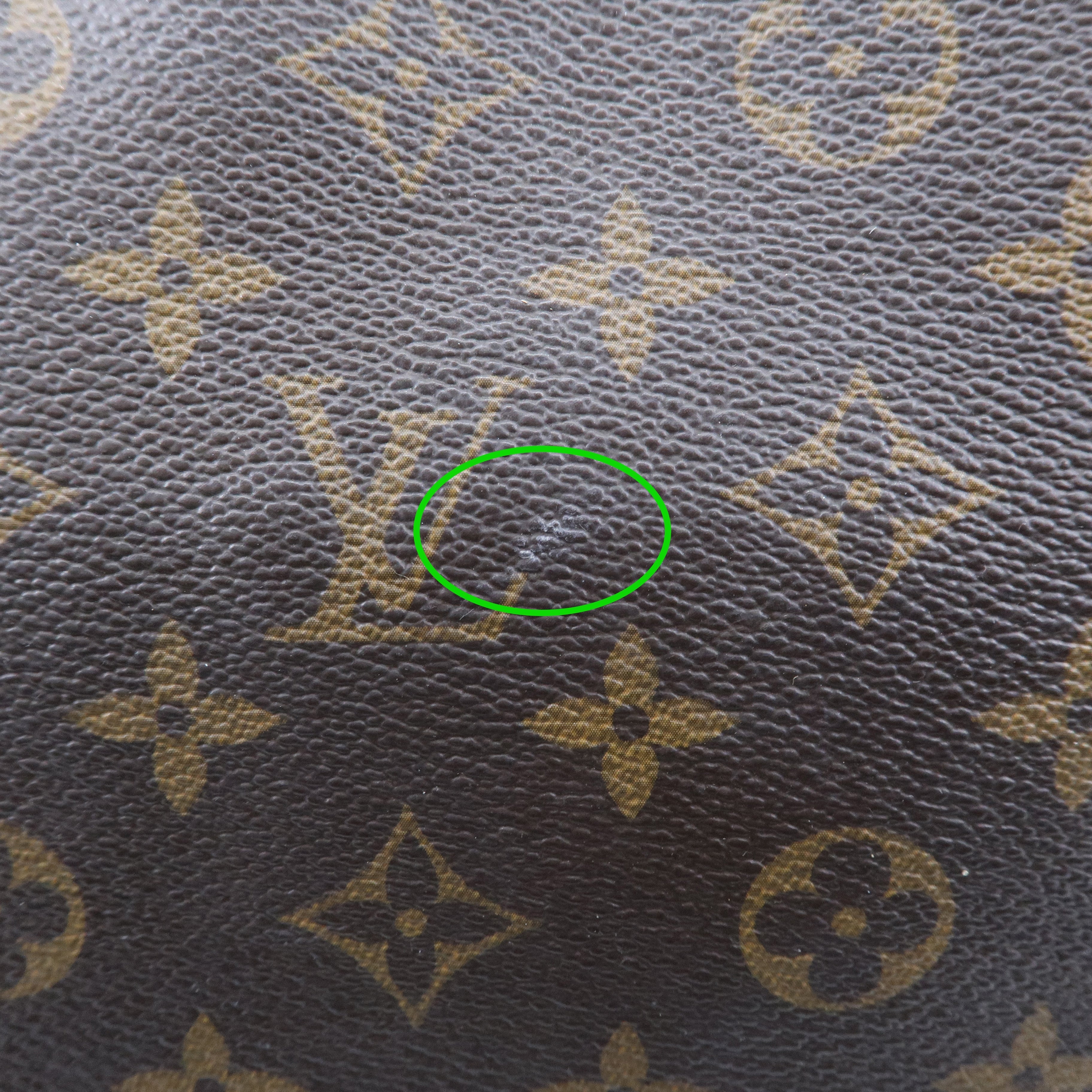 Louis Vuitton Monogram Delightful PM Shoulder Bag M40352