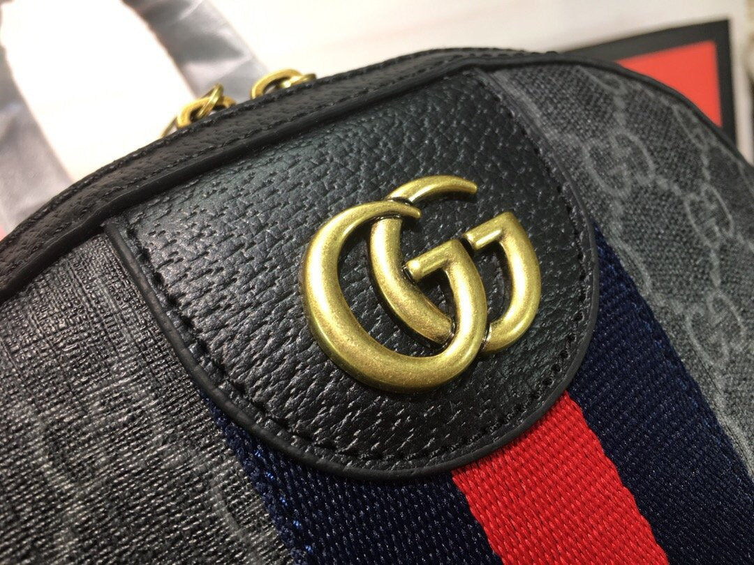 Designer Handbags Gucci 029