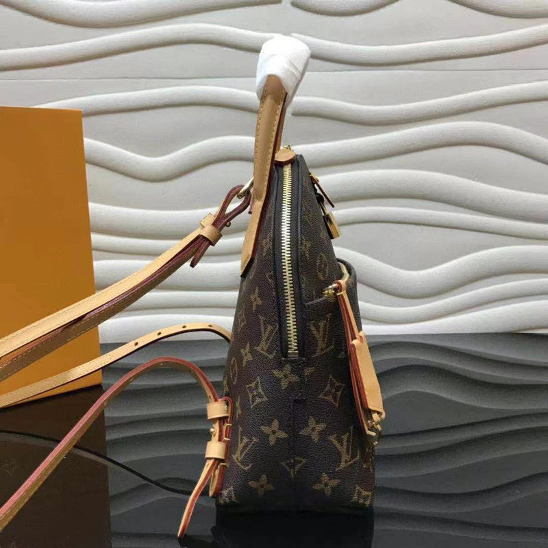 Louis Vuitton Luxury Bags 2551