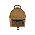 Louis Vuitton Monogram Reverse Mini Palm Springs Backpack