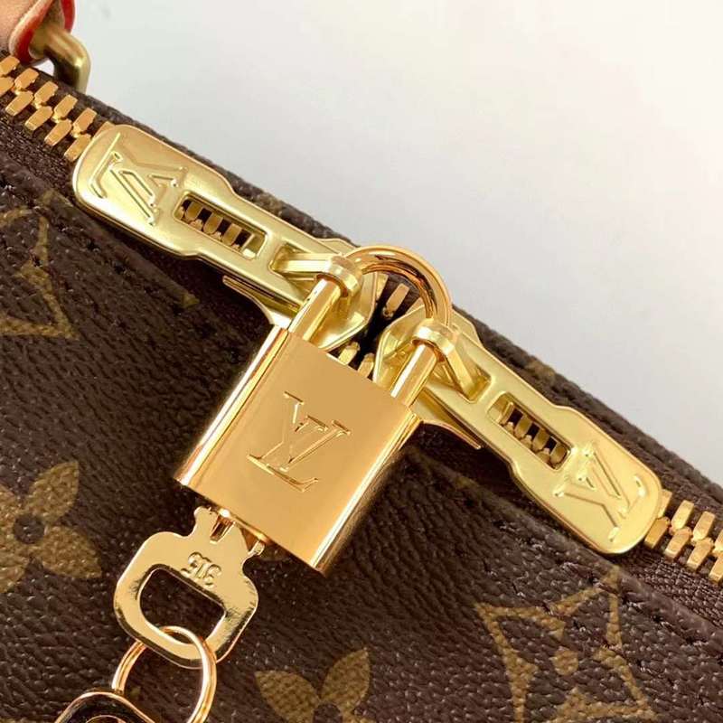 Louis Vuitton Luxury Bags 2831