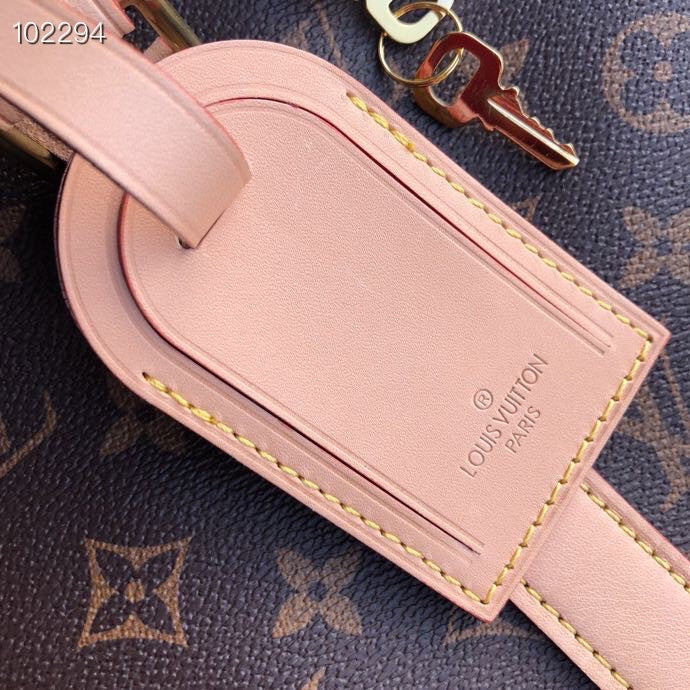 Louis Vuitton Luxury Bags 2834