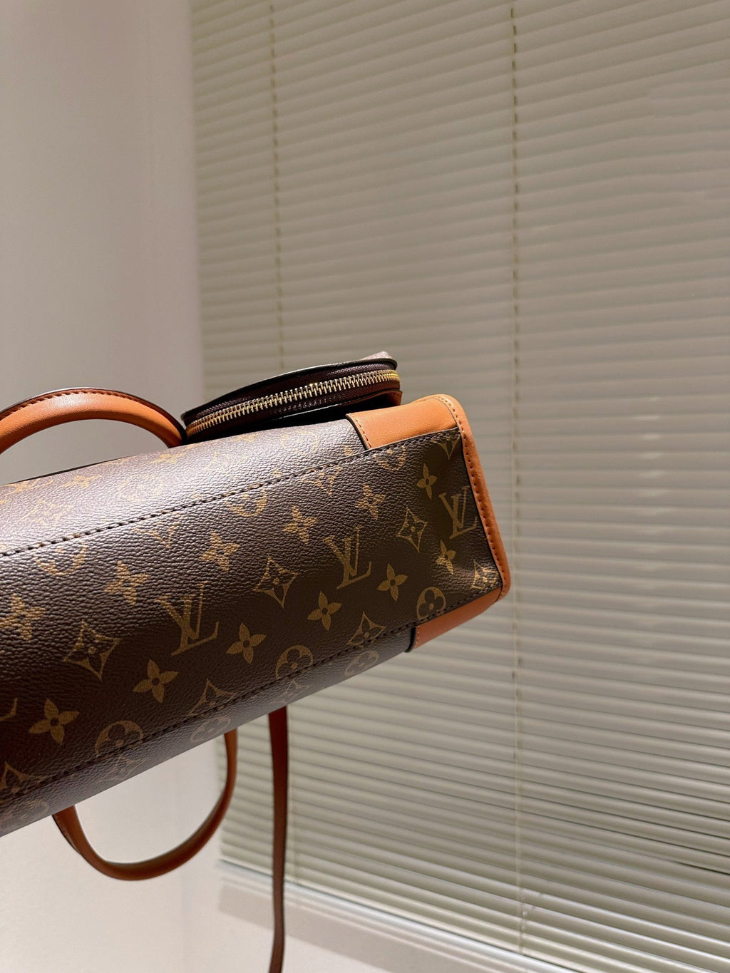 Luxury Bags Louis Vuitton  736