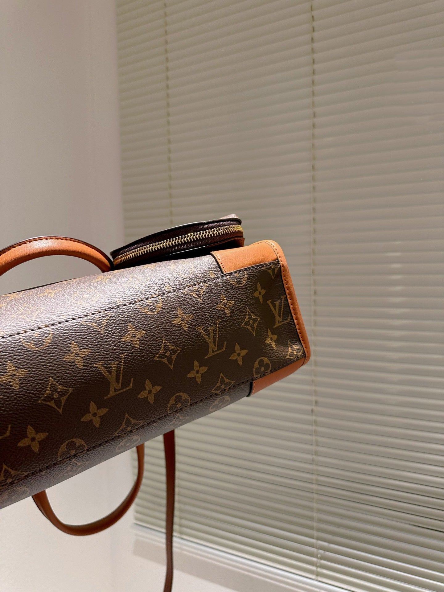 Luxury Bags Louis Vuitton  736