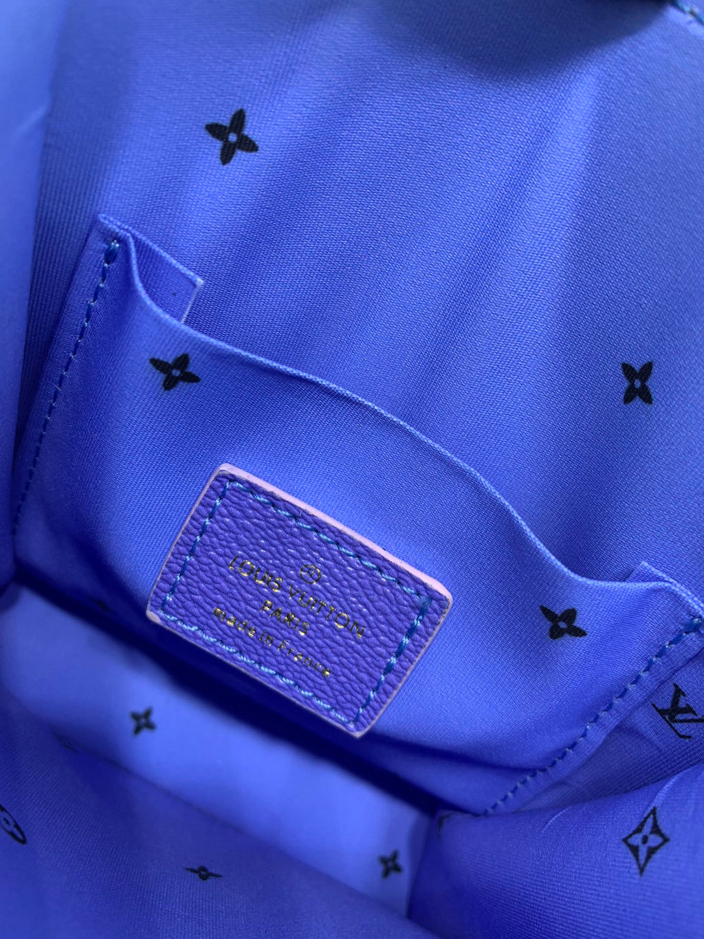 Luxury Bags Louis Vuitton  824