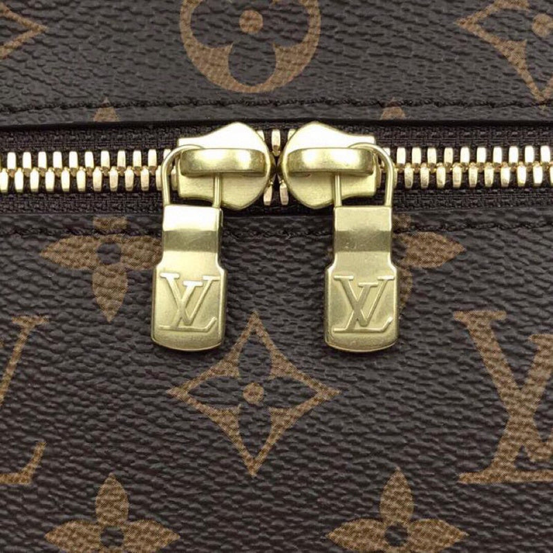 Louis Vuitton Luxury Bags 2629