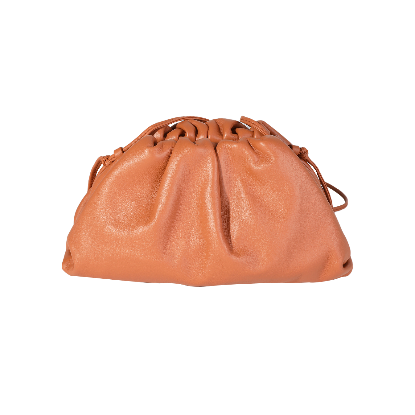 Bottega Veneta Clay Calfskin Mini Pouch