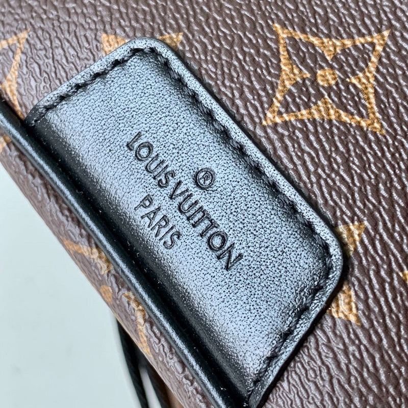 Louis Vuitton Luxury Bags 2729