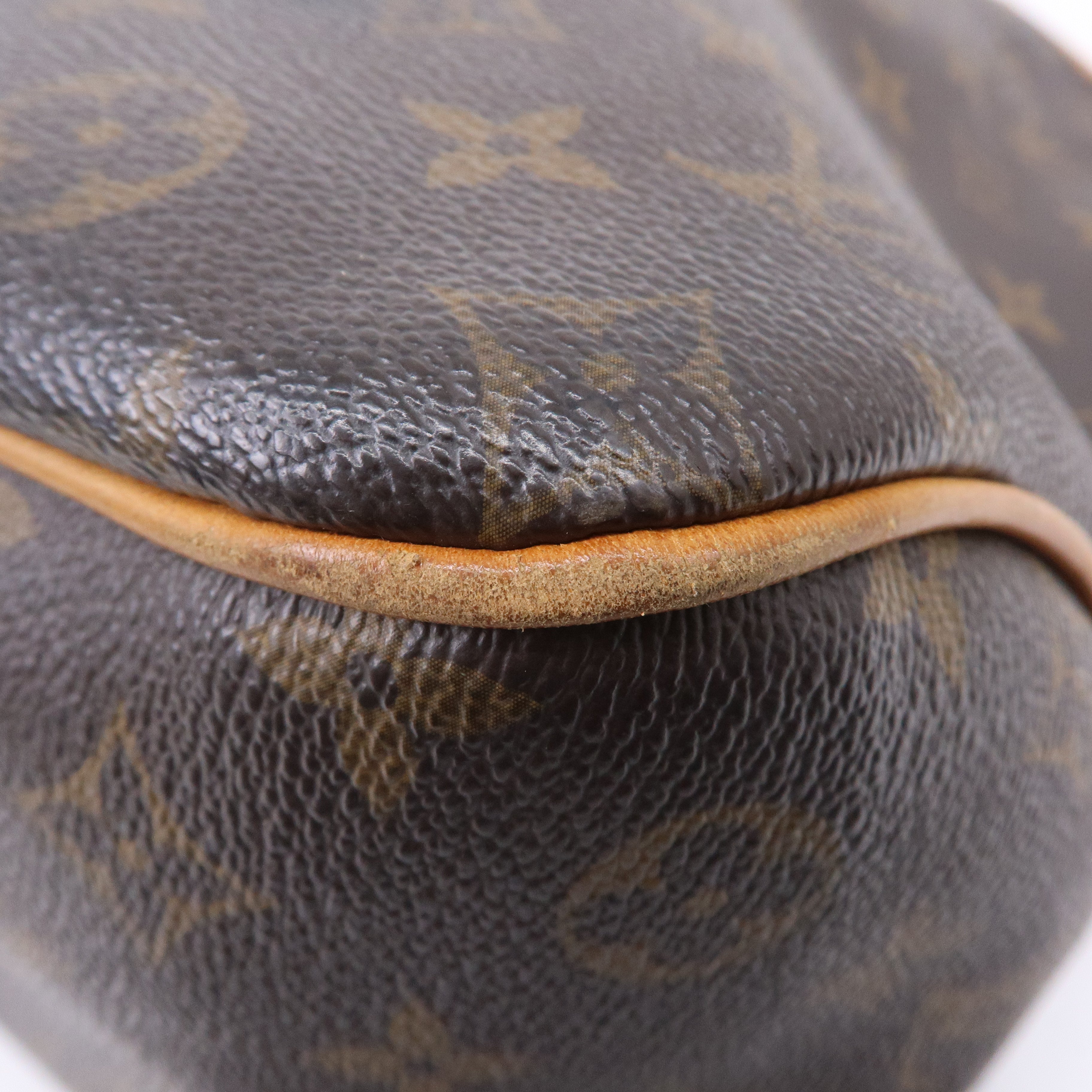 Louis Vuitton Monogram Delightful PM Shoulder Bag M40352