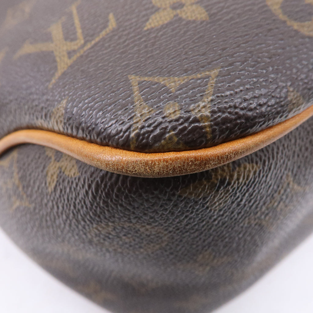 Louis Vuitton Monogram Delightful PM Shoulder Bag M40352