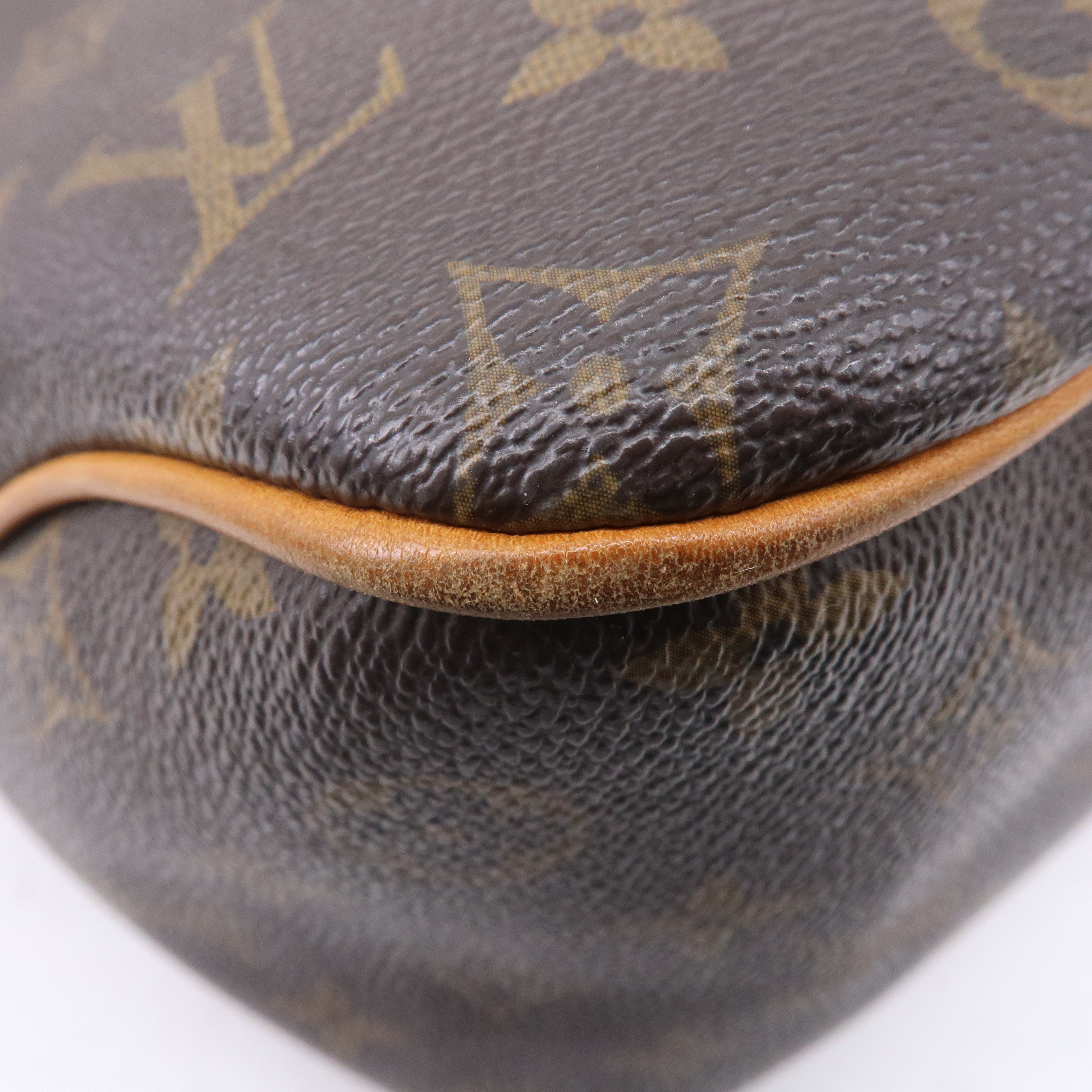 Louis Vuitton Monogram Delightful PM Shoulder Bag M40352
