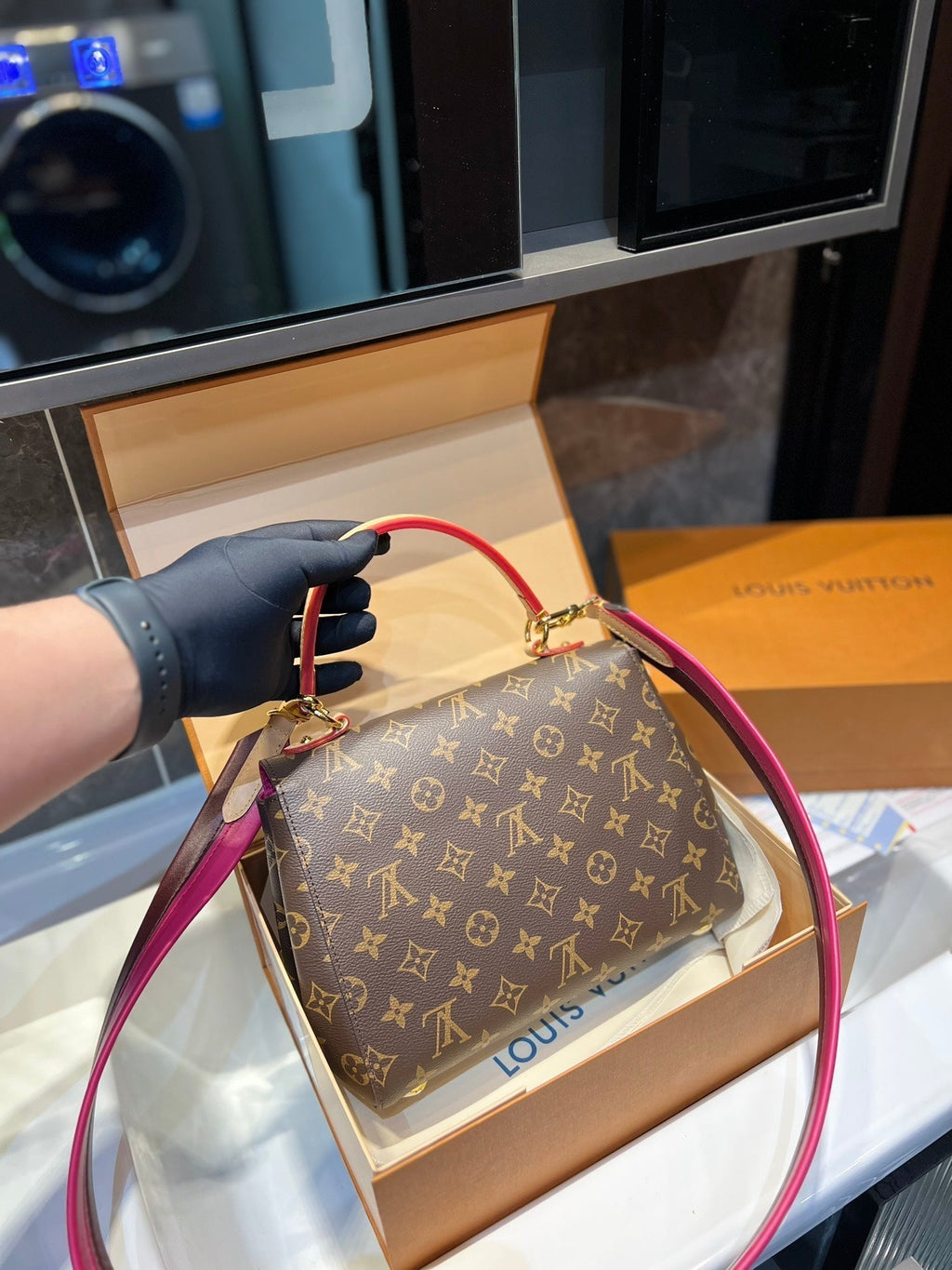 Luxury Bags Louis Vuitton  738