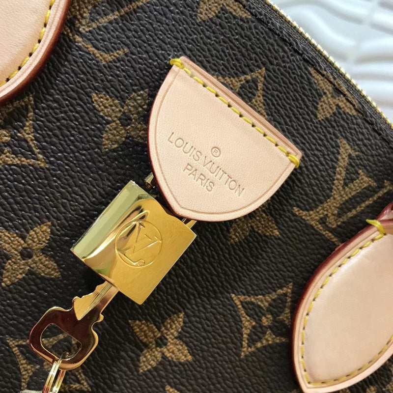 Louis Vuitton Luxury Bags 2564