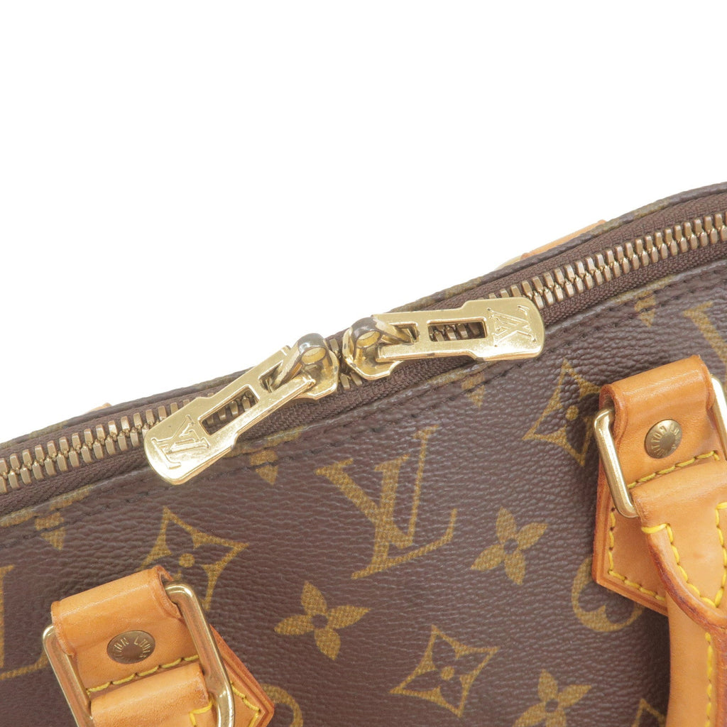 Louis Vuitton Monogram Alma Hand Bag M51130