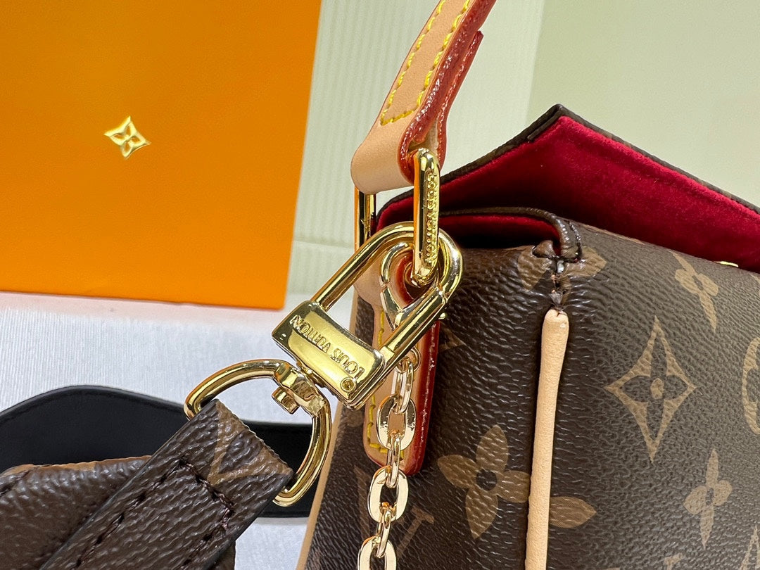 New Lux Bags Louis Vuitton  886