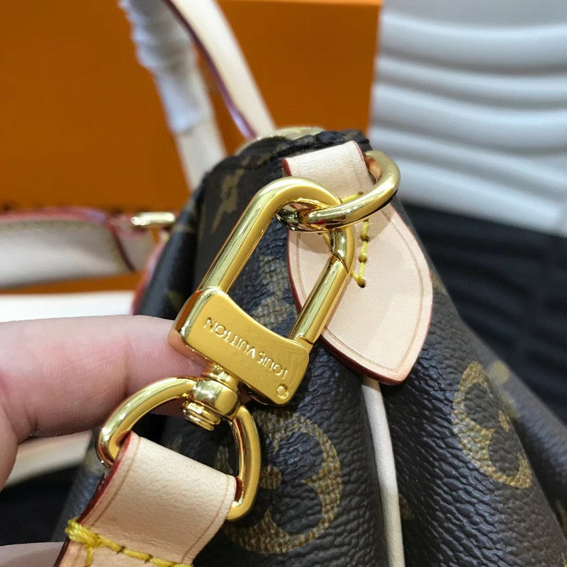 Louis Vuitton Luxury Bags 2564
