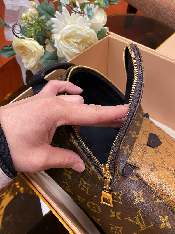 Louis Vuitton Luxury Bags 2827