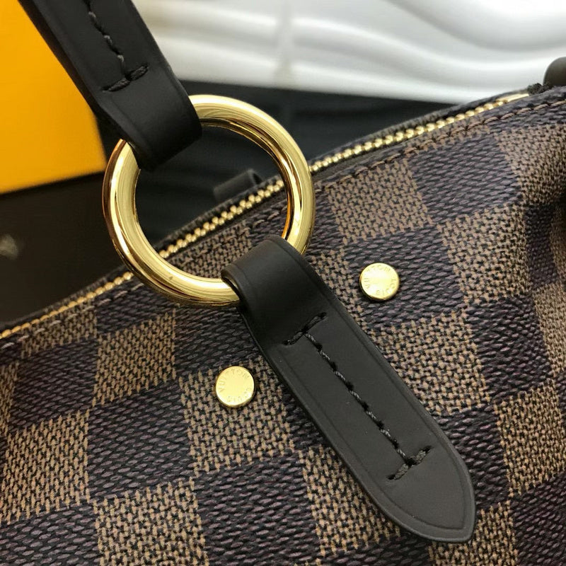 Louis Vuitton Luxury Bags 2467