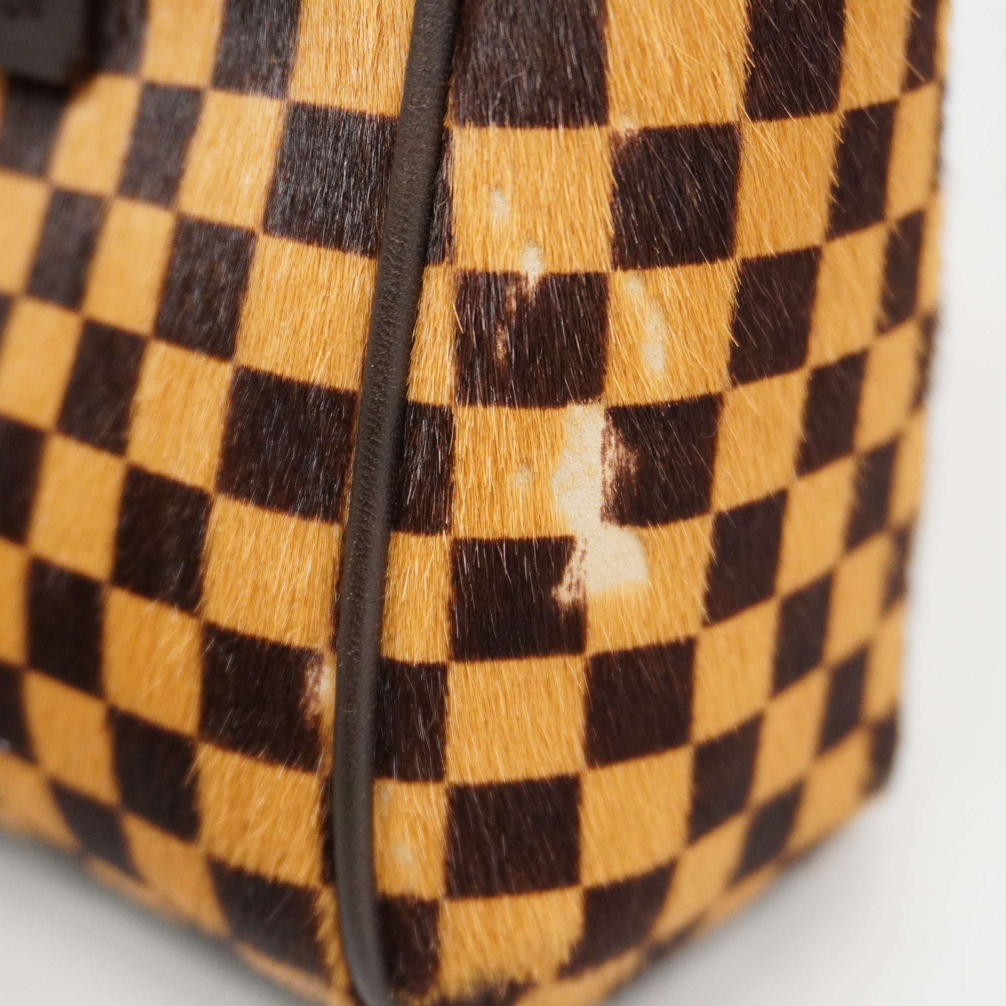 LOUIS VUITTONAuth  Damier Sauvage Lion M92131 Women's Handbag