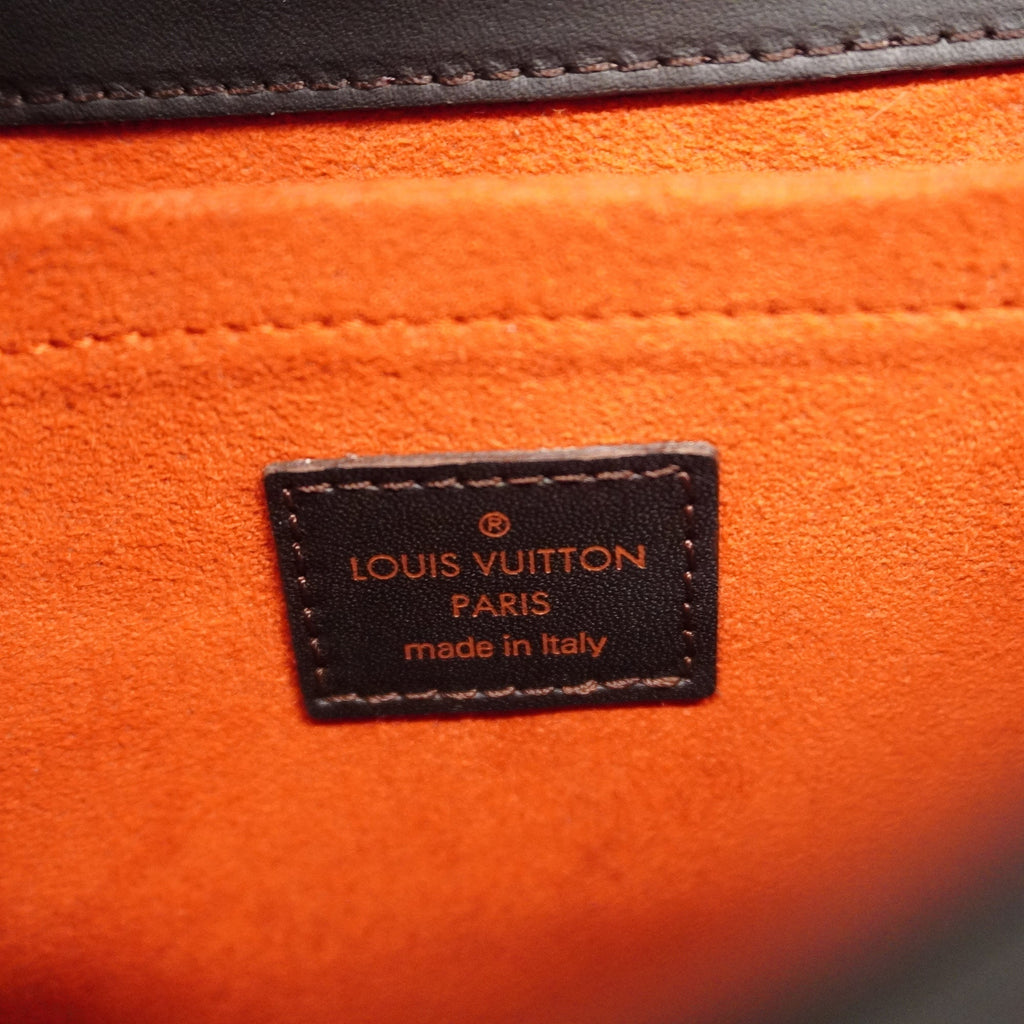 LOUIS VUITTONAuth  Damier Sauvage Lion M92131 Women's Handbag