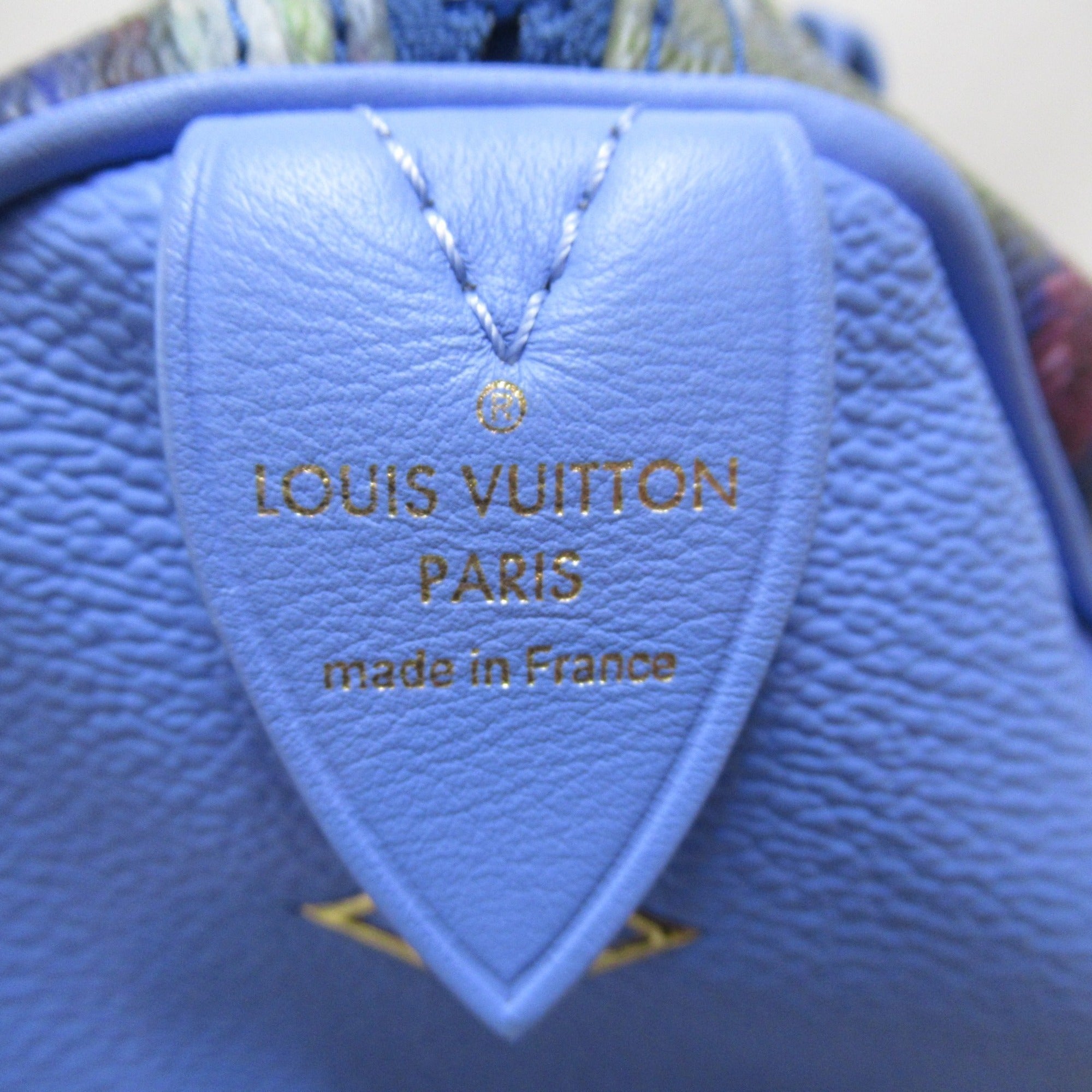 LOUIS VUITTON monet speedy 30 handbag Blue Masters collection PVC coated canvas M43354