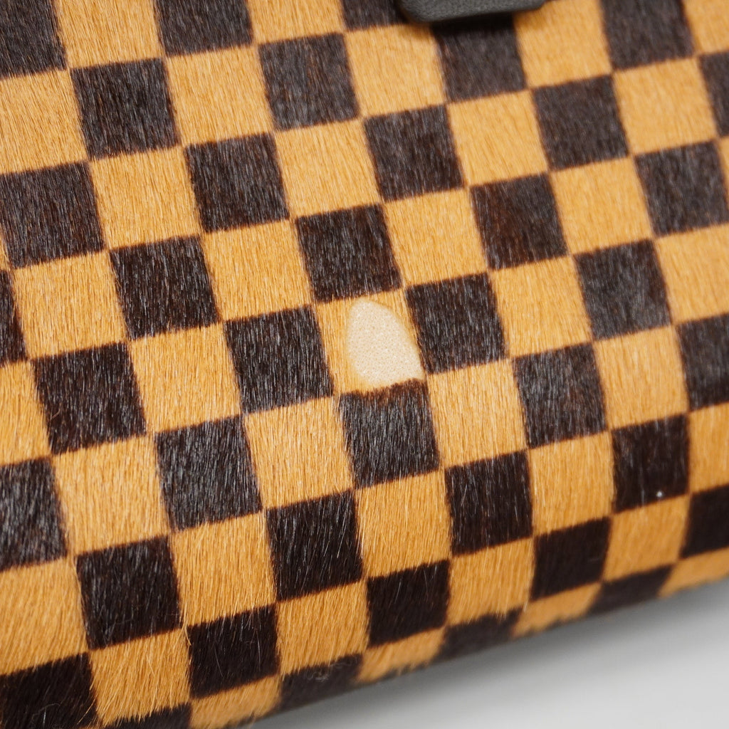 LOUIS VUITTONAuth  Damier Sauvage Lion M92131 Women's Handbag
