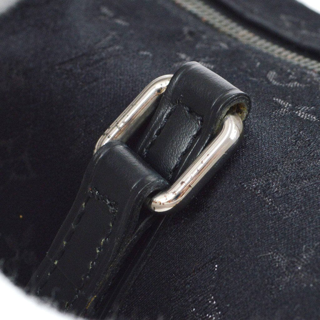 LOUIS VUITTON LITTLE PAPILLON