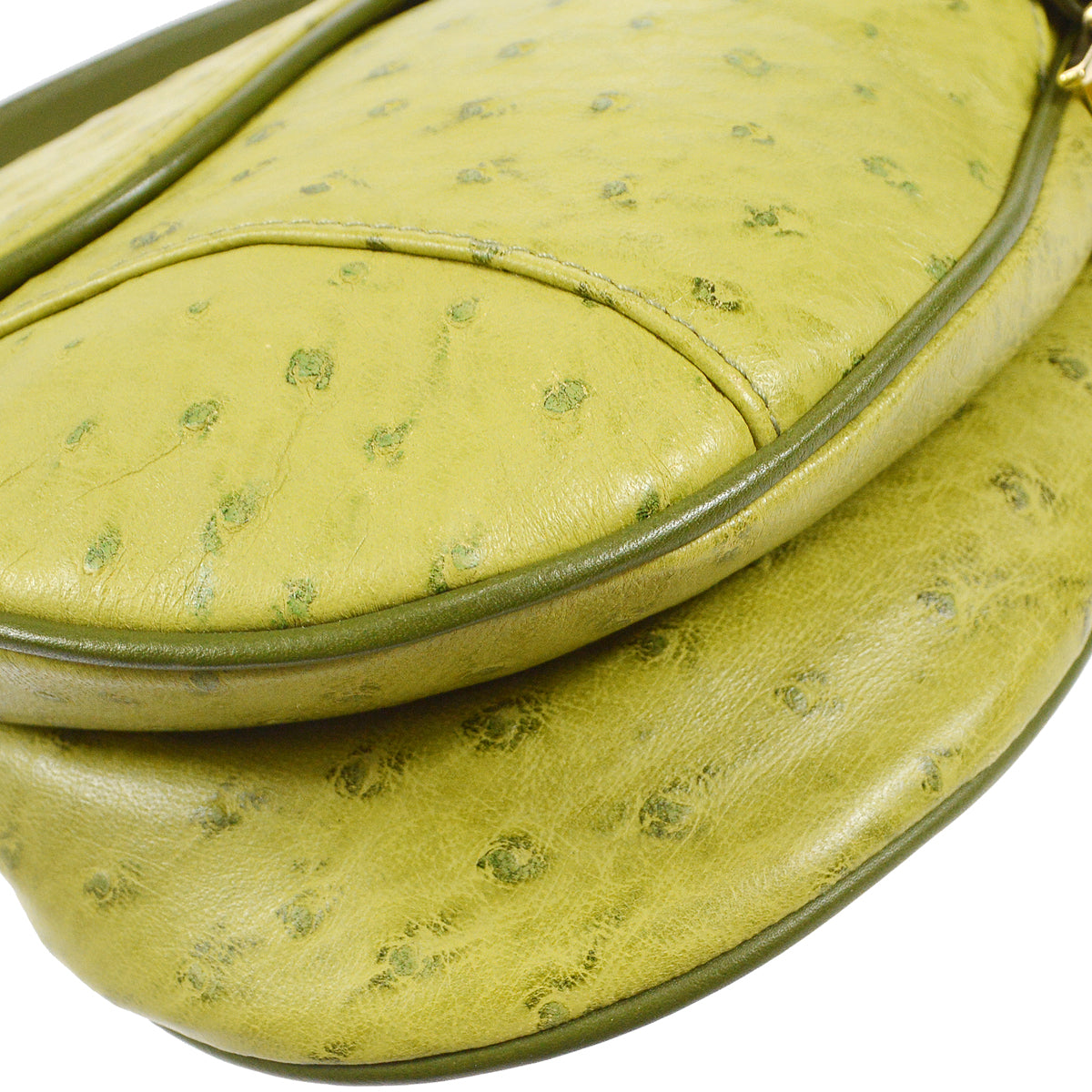 Christian Dior Saddle Handbag Green Ostrich