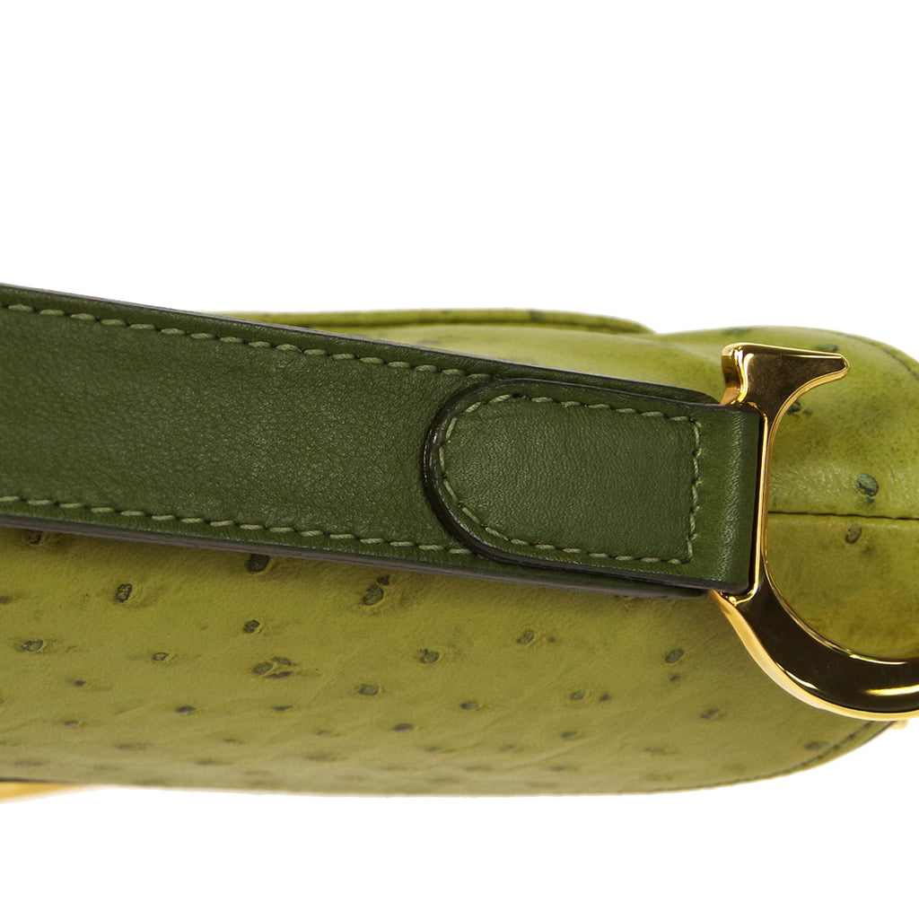 Christian Dior Saddle Handbag Green Ostrich