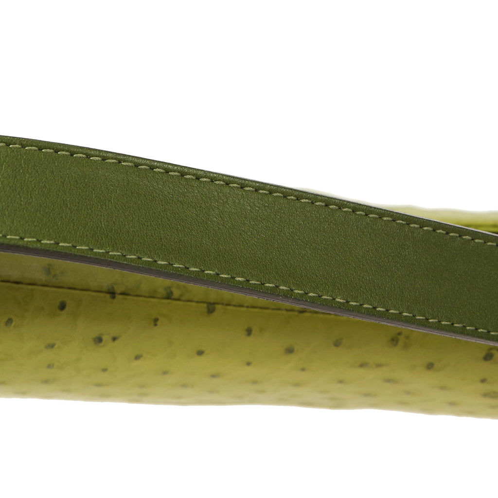 Christian Dior Saddle Handbag Green Ostrich