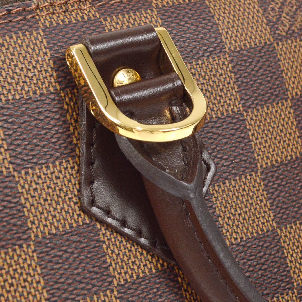 LOUIS VUITTON ALMA HANDBAG DAMIER