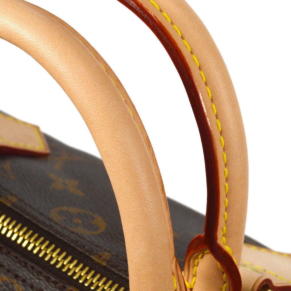 LOUIS VUITTON SPEEDY 30 HANDBAG MONOGRAM