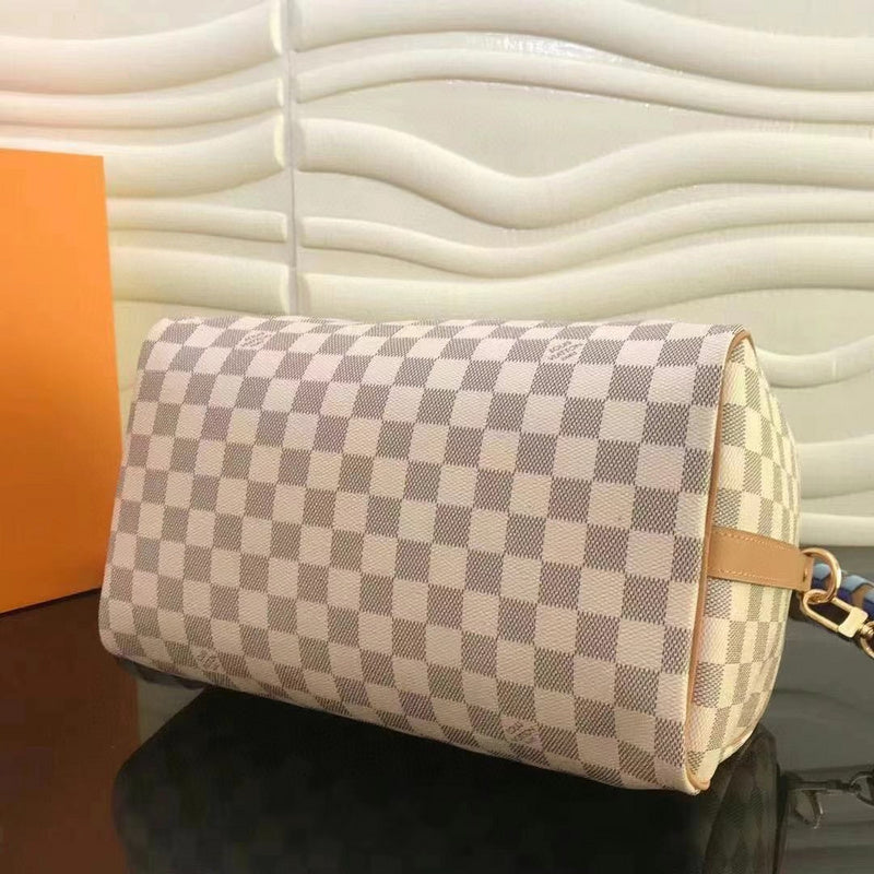 Louis Vuitton Luxury Bags 2449