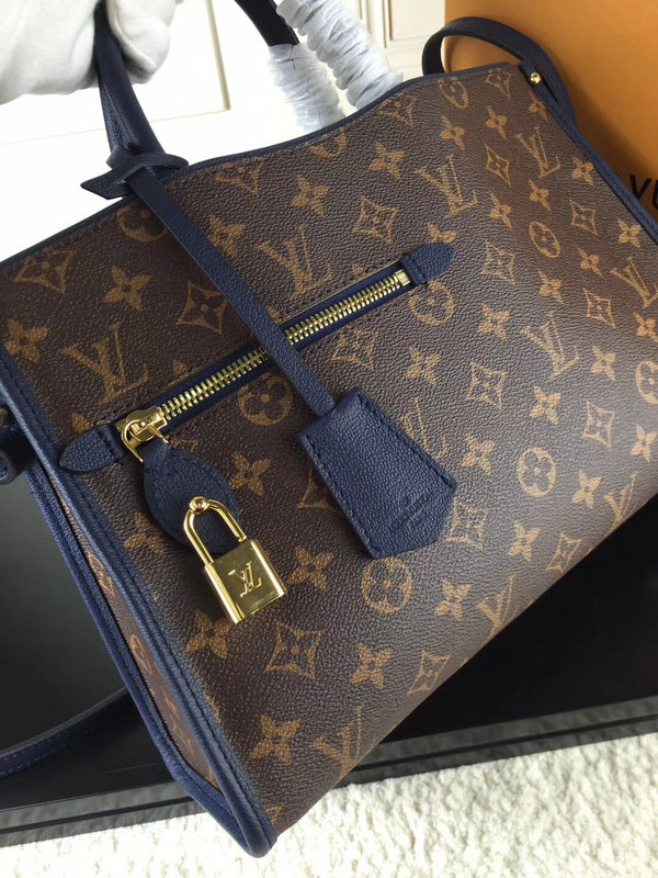 Louis Vuitton Luxury Bags 2071
