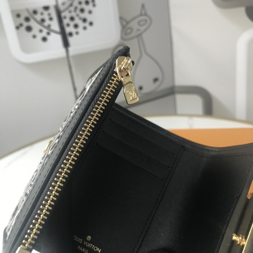 Designer Wallet louis vuitton 024