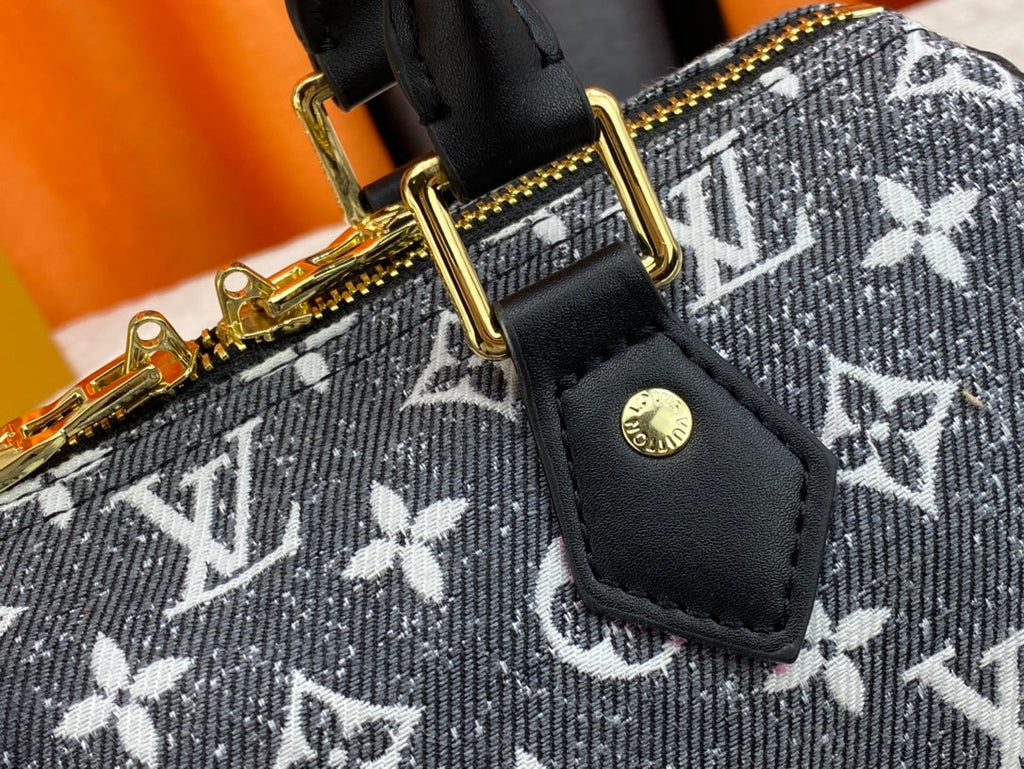 Luxury Bags Louis Vuitton  740