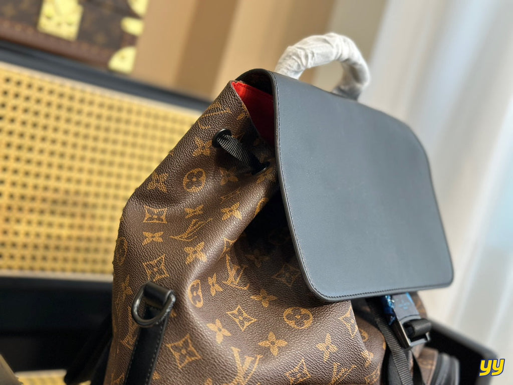 Luxury Bags Louis Vuitton  734