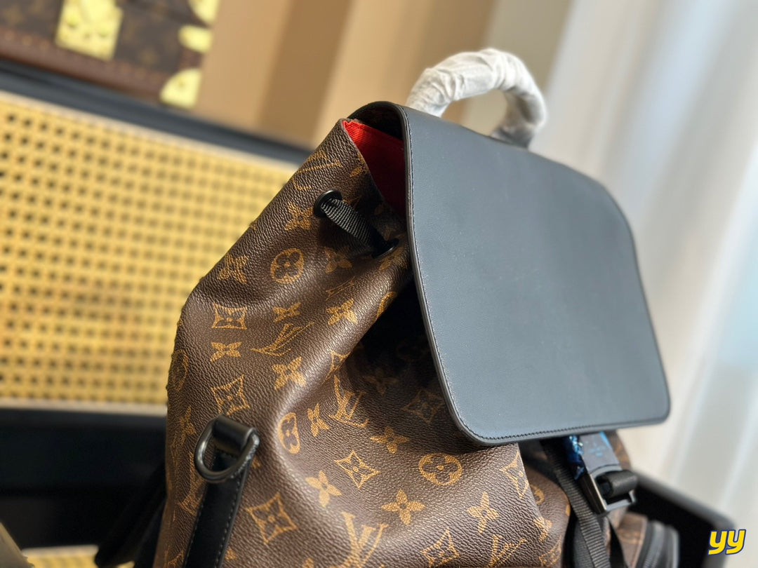 Luxury Bags Louis Vuitton  734