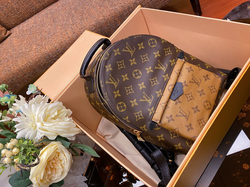 Louis Vuitton Luxury Bags 2827