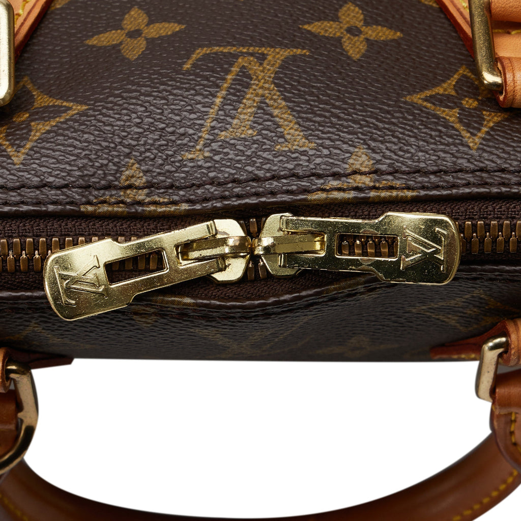LOUIS VUITTON Monogram Alma PM Handbag
