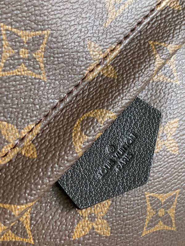 Louis Vuitton Luxury Bags 2824