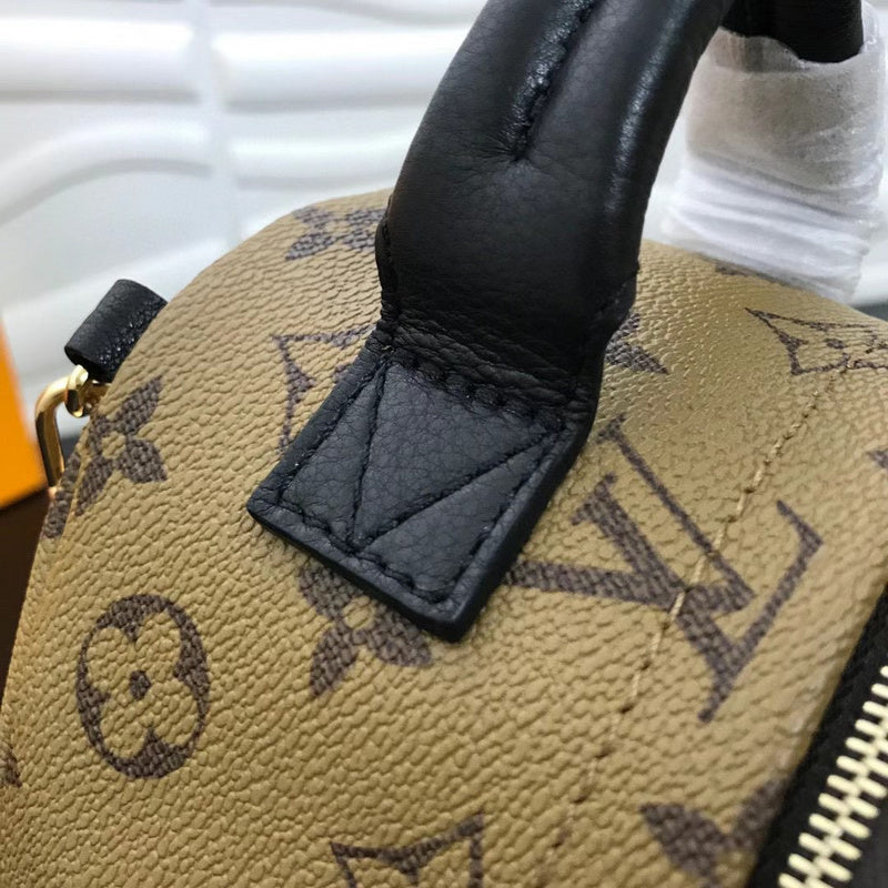 Louis Vuitton Luxury Bags 2558