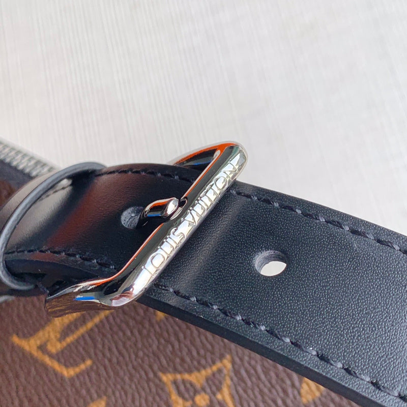 Louis Vuitton Luxury Bags 2727