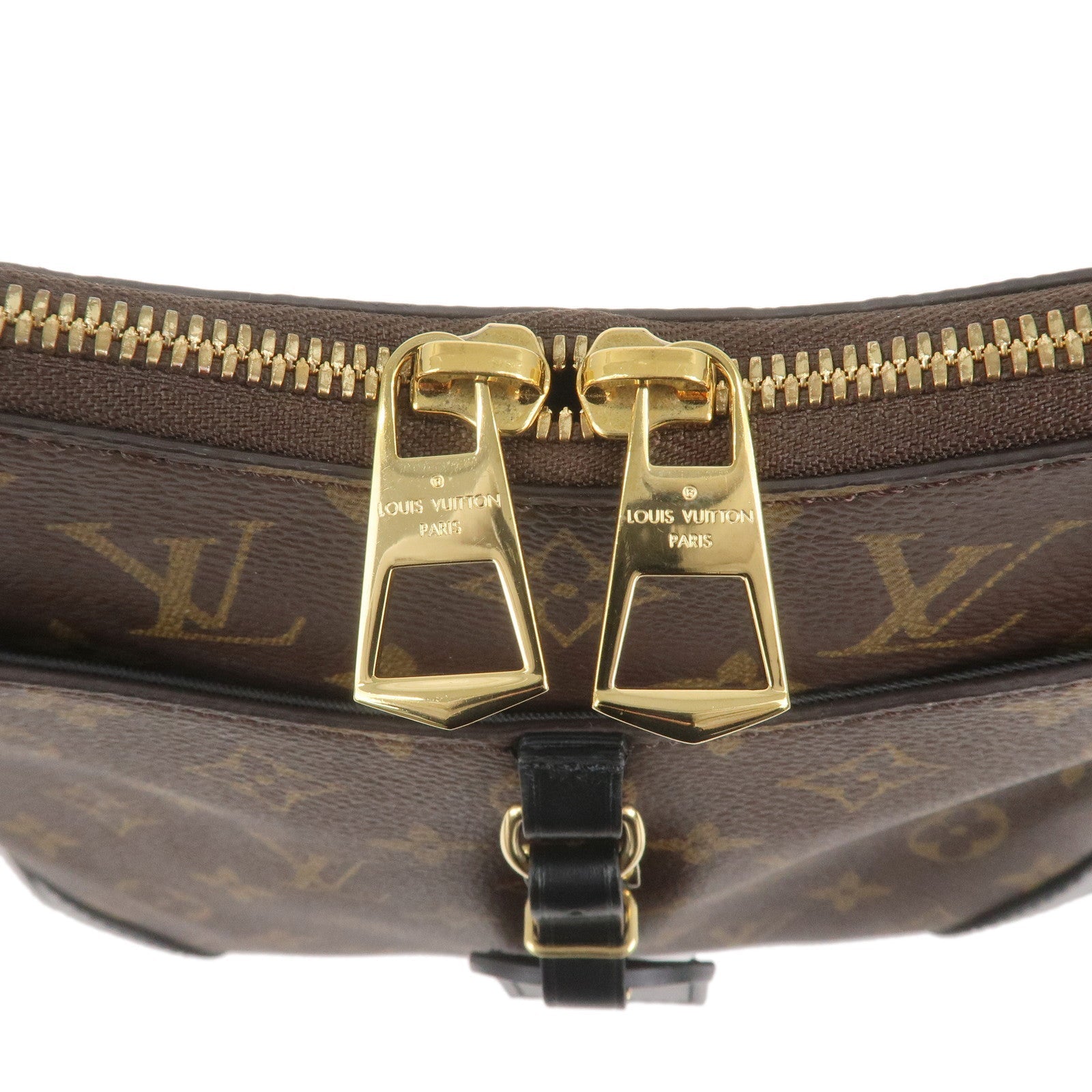 Louis Vuitton Monogram Macassar Odeon NMPM Bag Noir M45353