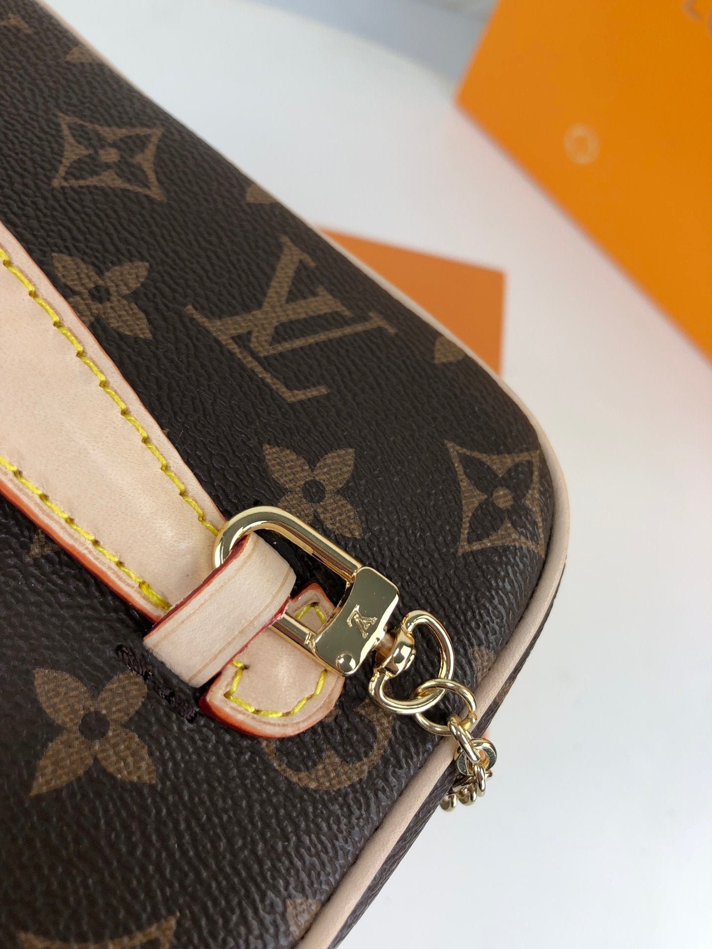 Designer Handbags Louis Vuitton 025