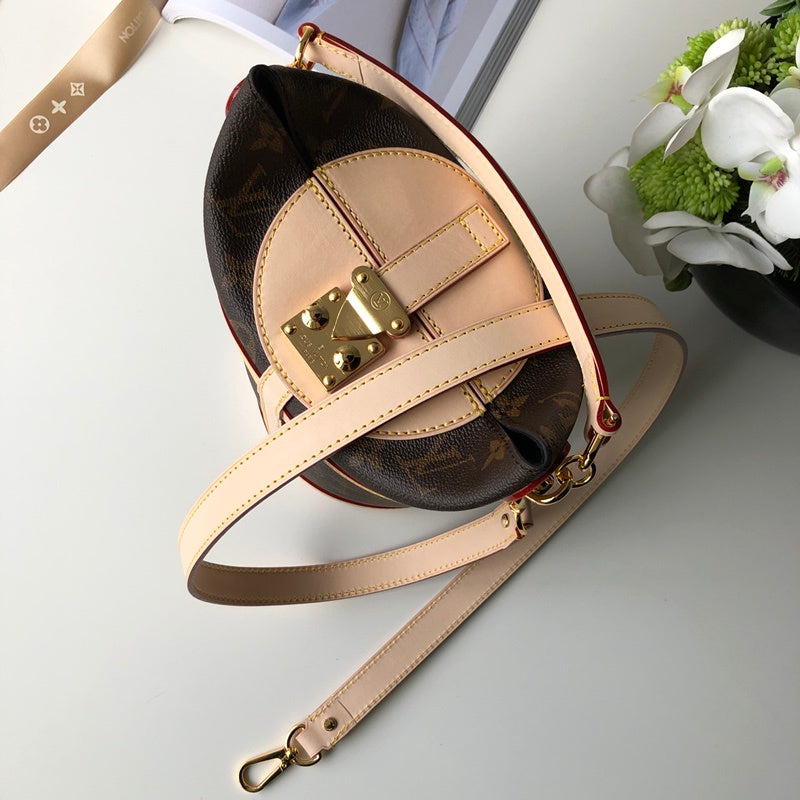 Louis Vuitton Luxury Bags 2602
